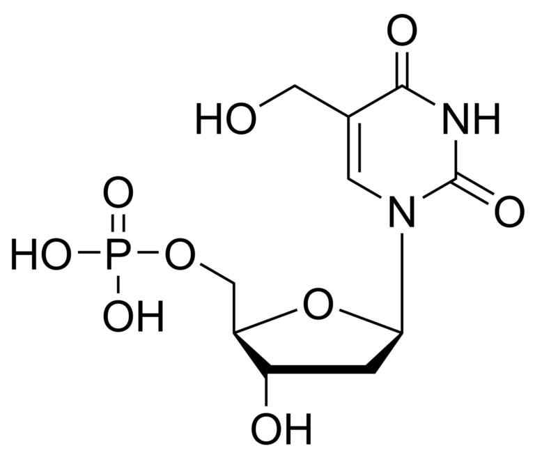 Main product photo - 5-Hydroxymethyl-2′-deoxyuridine monophosphate