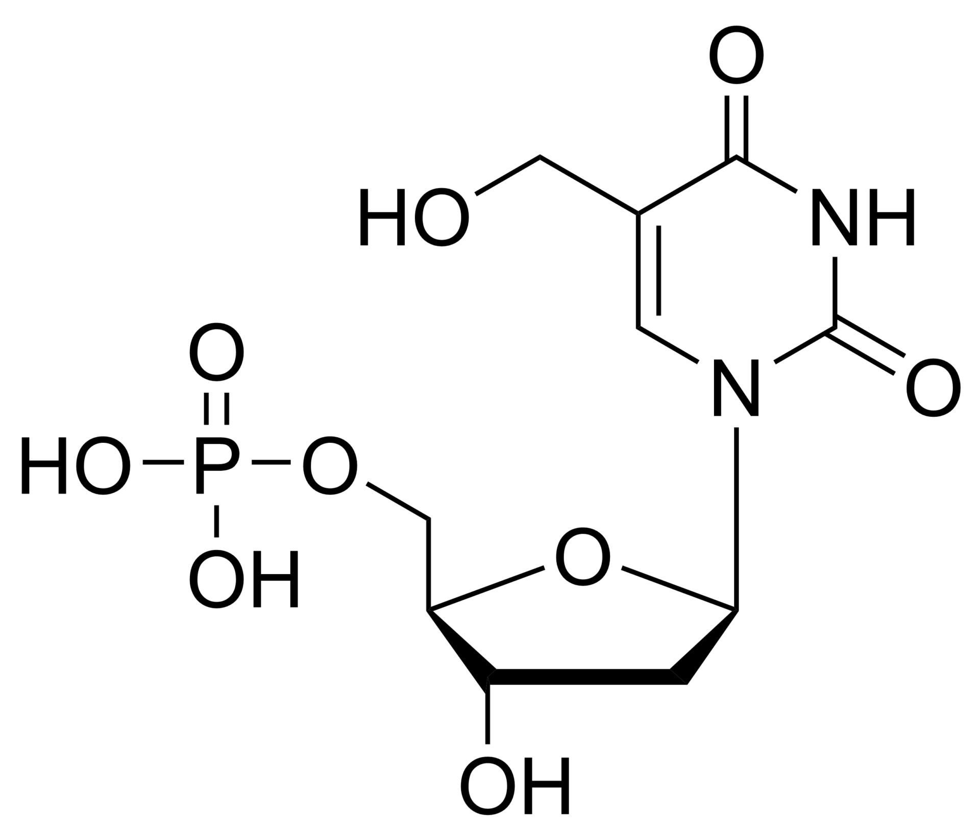 5-Hydroxymethyl-2′-deoxyuridine monophosphate