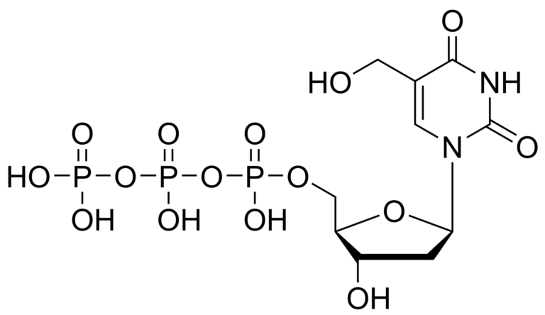 Main product photo - 5-Hydroxymethyl-2′-deoxyuridine triphosphate – CAS 14167-70-5