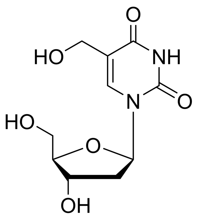 Main product photo - 5-Hydroxymethyl-2′-deoxyuridine – CAS 5116-24-5