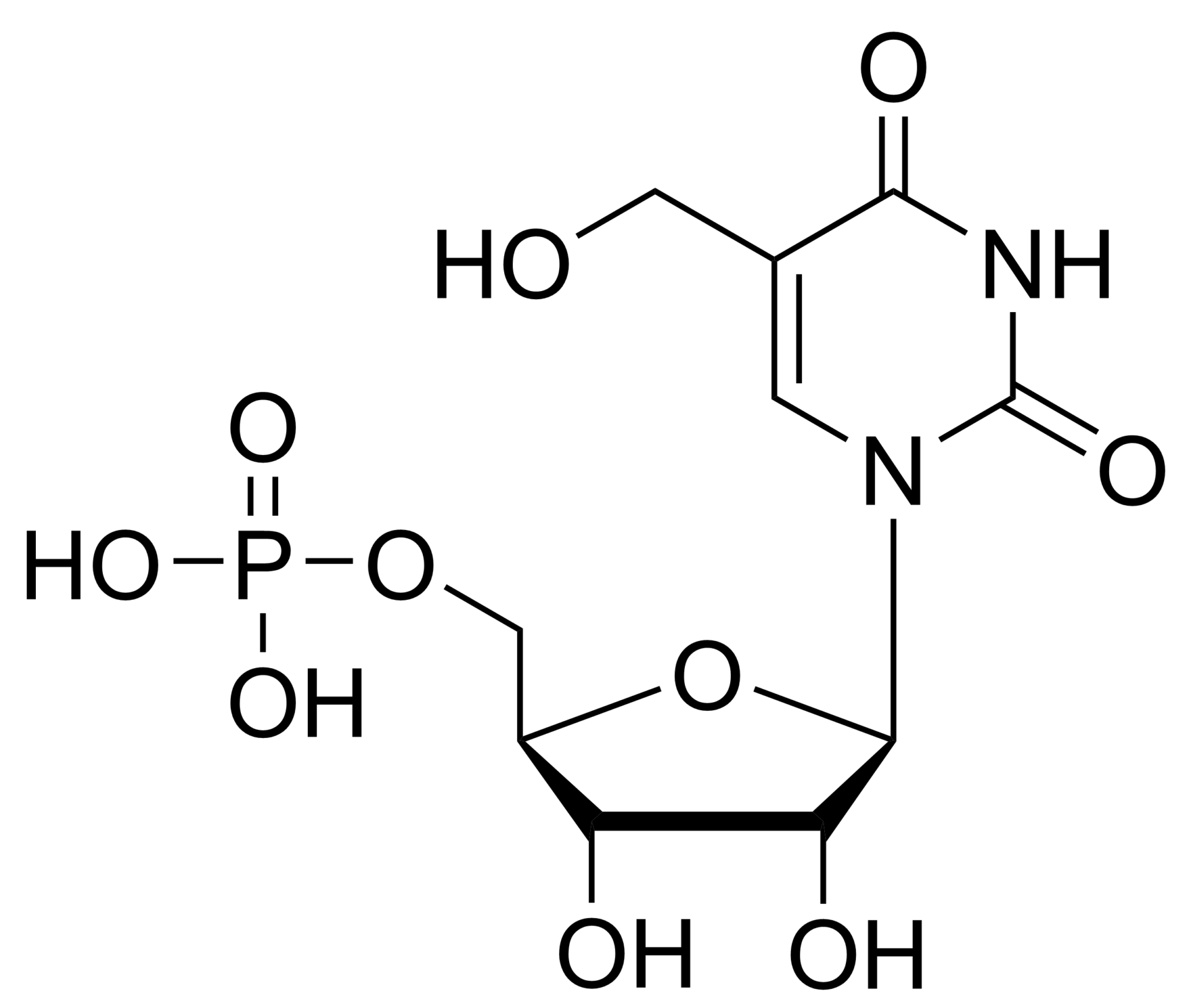 5-(Hydroxymethyl)uridine monophosphate – CAS 18800-65-2