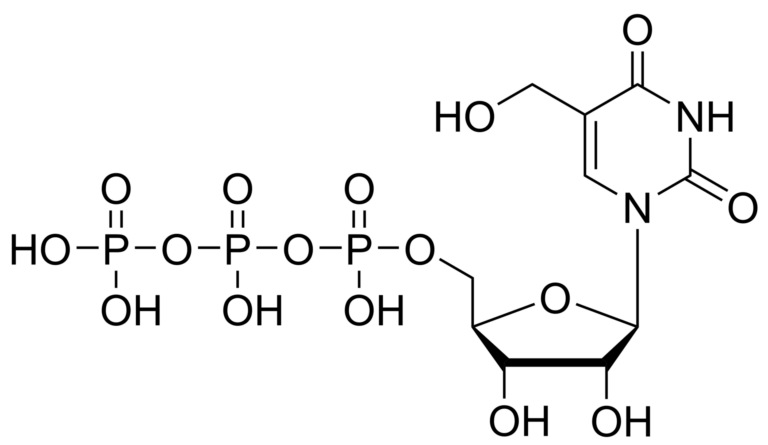 Main product photo - 5-(Hydroxymethyl)uridine triphosphate – CAS 2415101-56-1