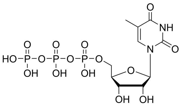 Main product photo - 5-Methyluridine triphosphate – CAS 23198-01-8