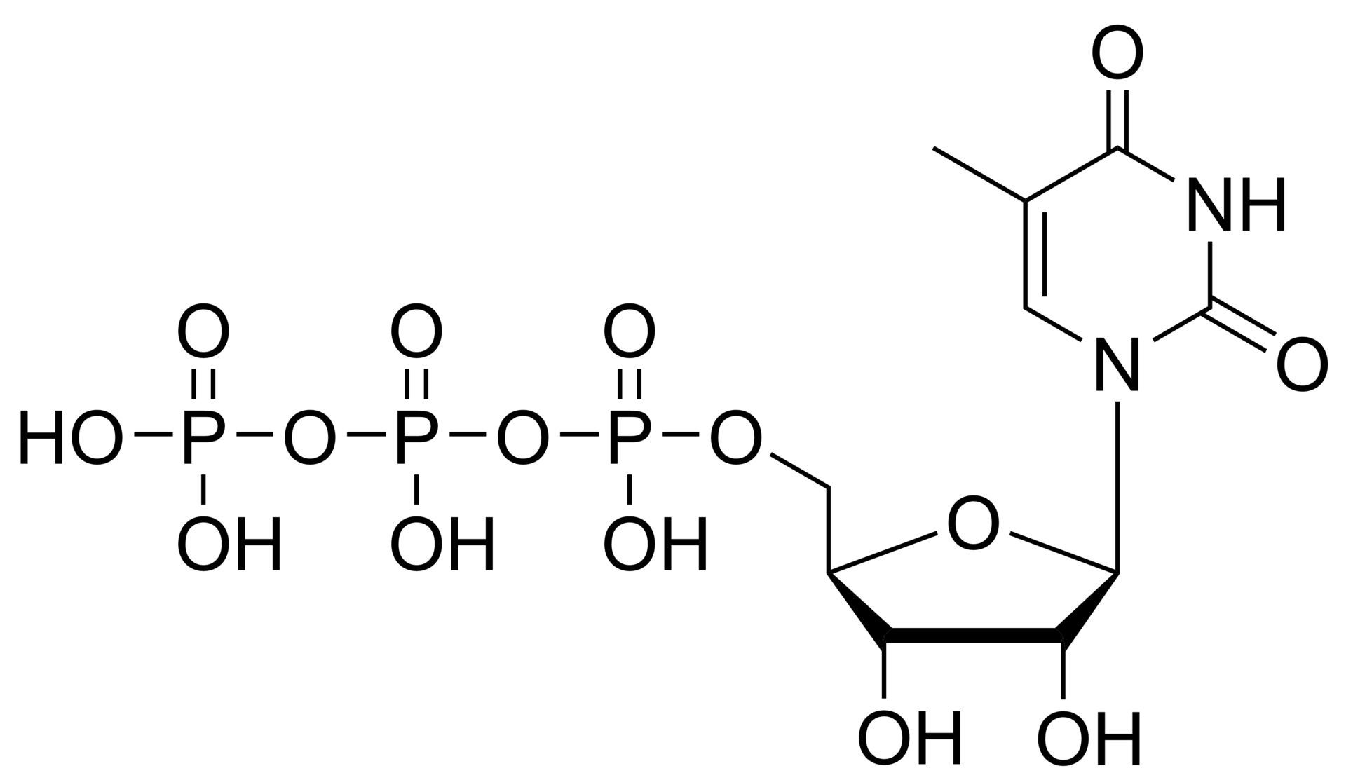 5-Methyluridine triphosphate – CAS 23198-01-8