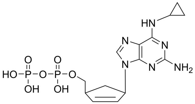 Main product photo - Abacavir diphosphate – CAS 136522-28-6