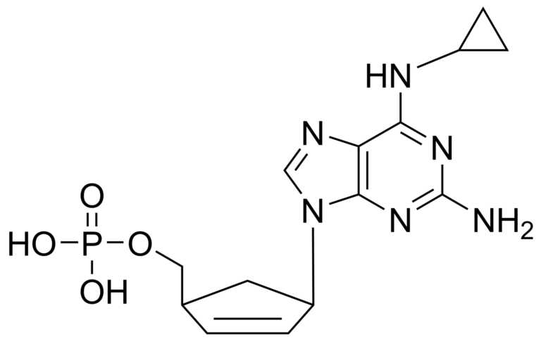 Main product photo - Abacavir monophosphate – CAS 136470-77-4