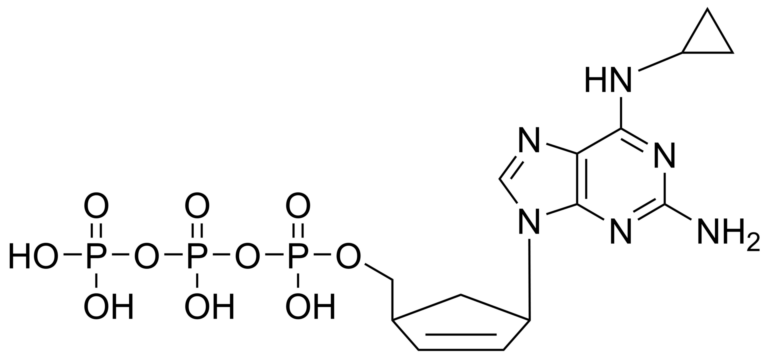 Main product photo - Abacavir triphosphate – CAS 137820-58-7