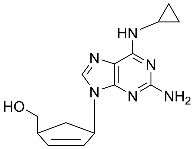 Main product photo - Abacavir – CAS 136470-78-5