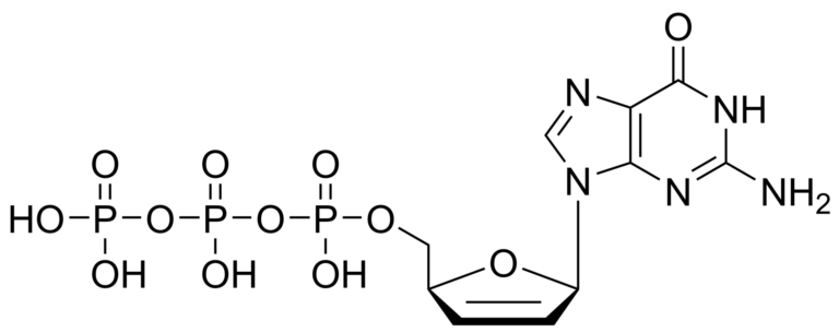 Main product photo - (-)-Carbovir triphosphate – CAS 129941-14-6