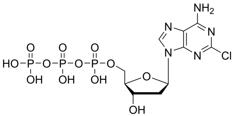 Main product photo - Cladribine triphosphate – CAS 106867-30-5