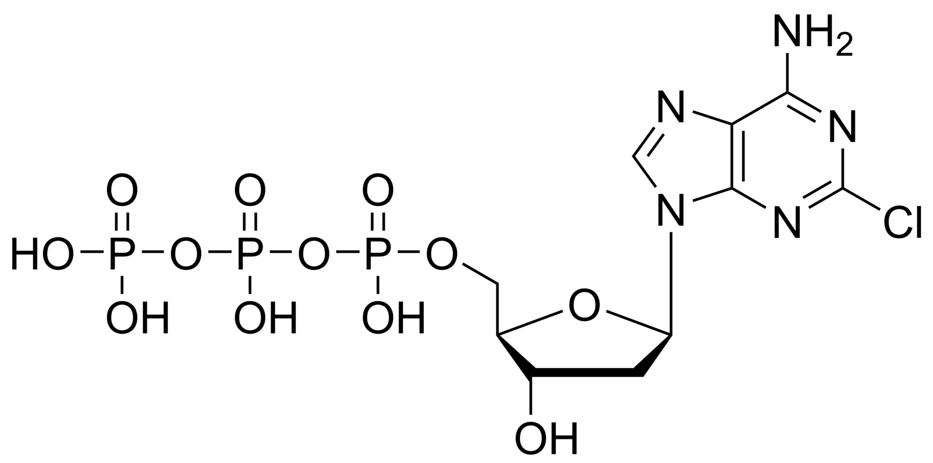 Cladribine triphosphate – CAS 106867-30-5