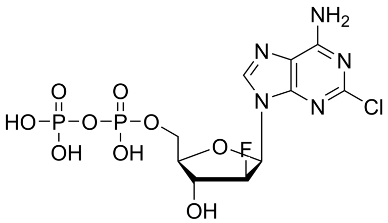 Main product photo - Clofarabine diphosphate – CAS 167620-89-5