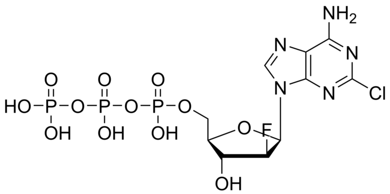 Main product photo - Clofarabine triphosphate – CAS 134646-41-6