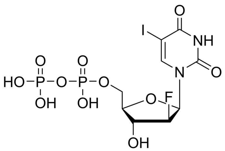 Main product photo - Fialuridine diphosphate – CAS 847651-68-7