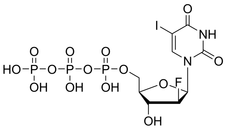 Main product photo - Fialuridine triphosphate – CAS 159119-82-1 