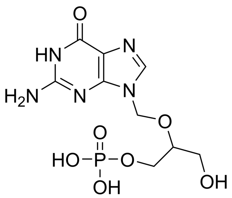 Main product photo - Ganciclovir monophosphate – CAS 93824-31-8