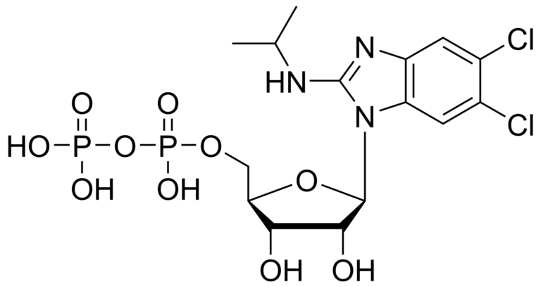 Main product photo - Maribavir diphosphate