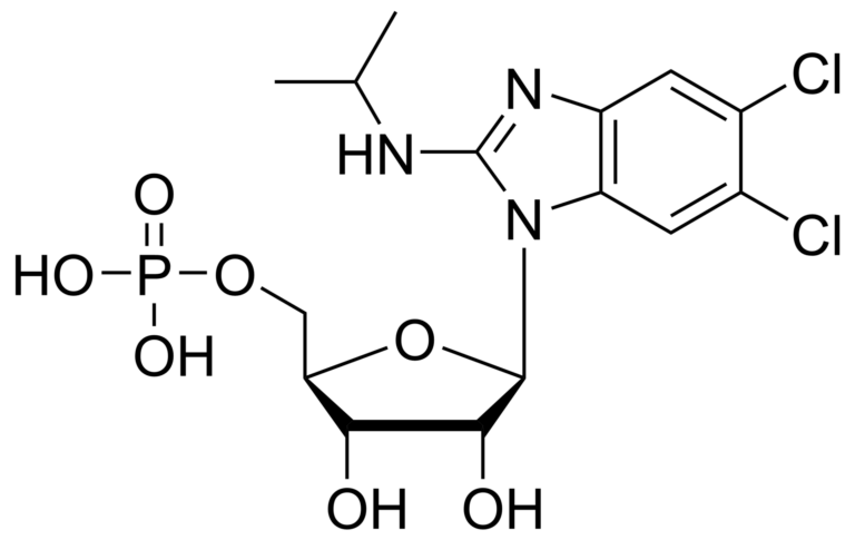 Main product photo - Maribavir monophosphate – CAS 959366-62-2