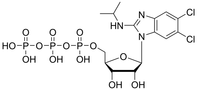 Main product photo - Maribavir triphosphate – CAS 959379-16-9