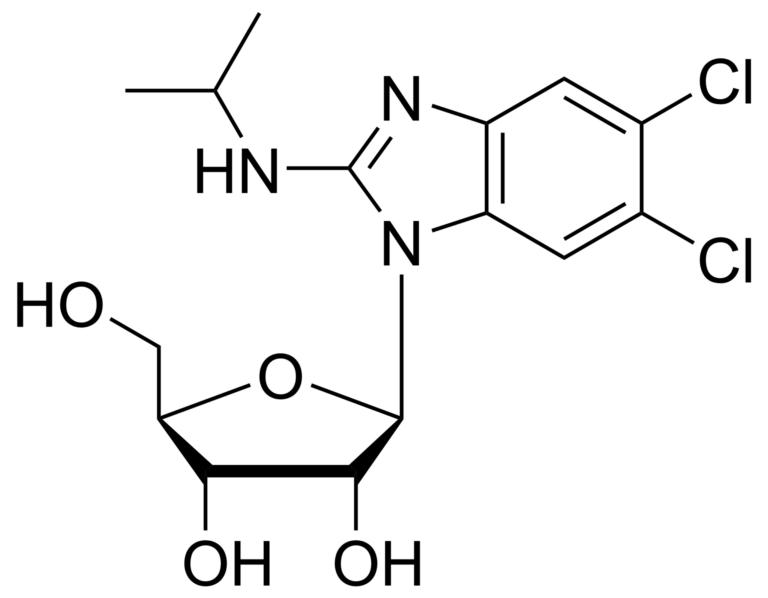 Main product photo - Maribavir – CAS 176161-24-3