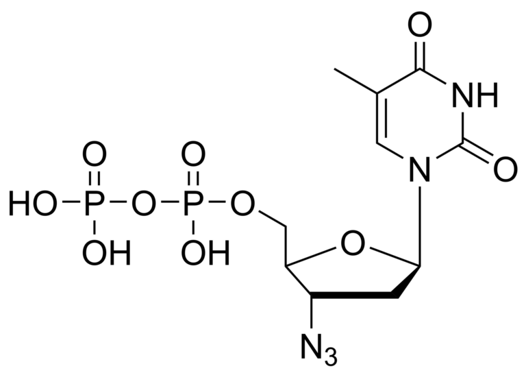 Main product photo - Zidovudine diphosphate – CAS 106060-89-3