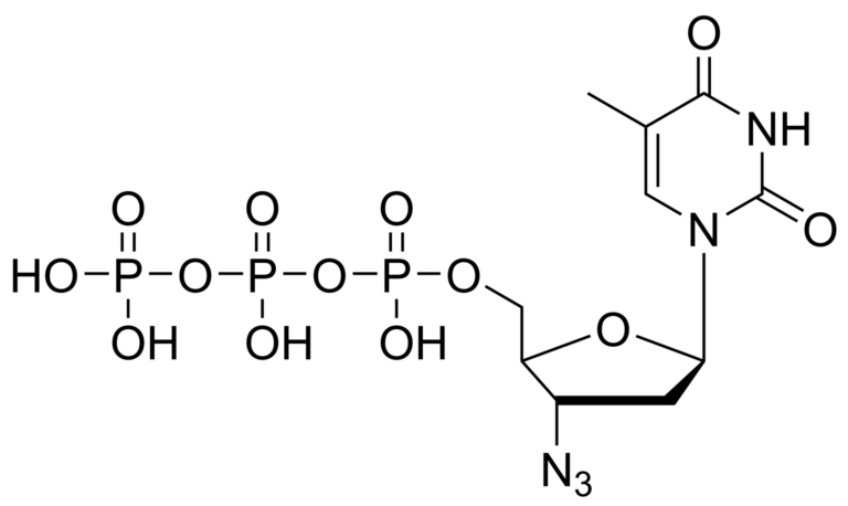 Main product photo - Zidovudine triphosphate – CAS 92586-35-1