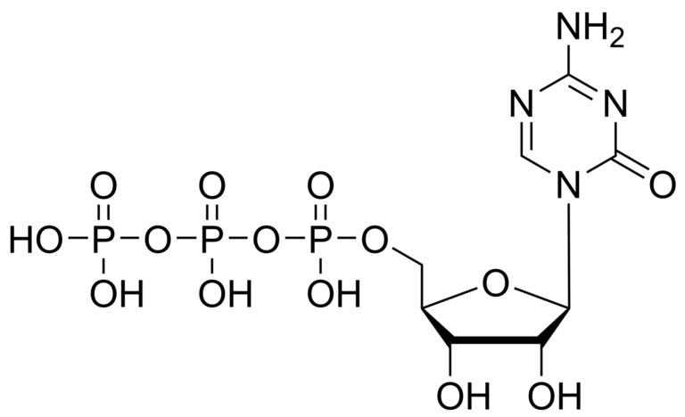 Main product photo - 5′-Azacytidine triphosphate – CAS 2226-74-6