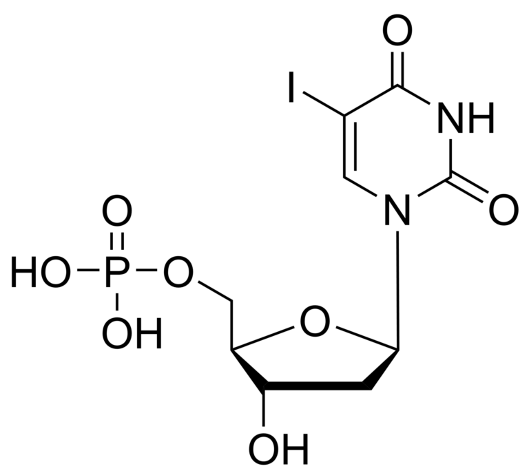 Main product photo - 5-Iodo-2′-deoxyuridine monophosphate – CAS 1763-02-6