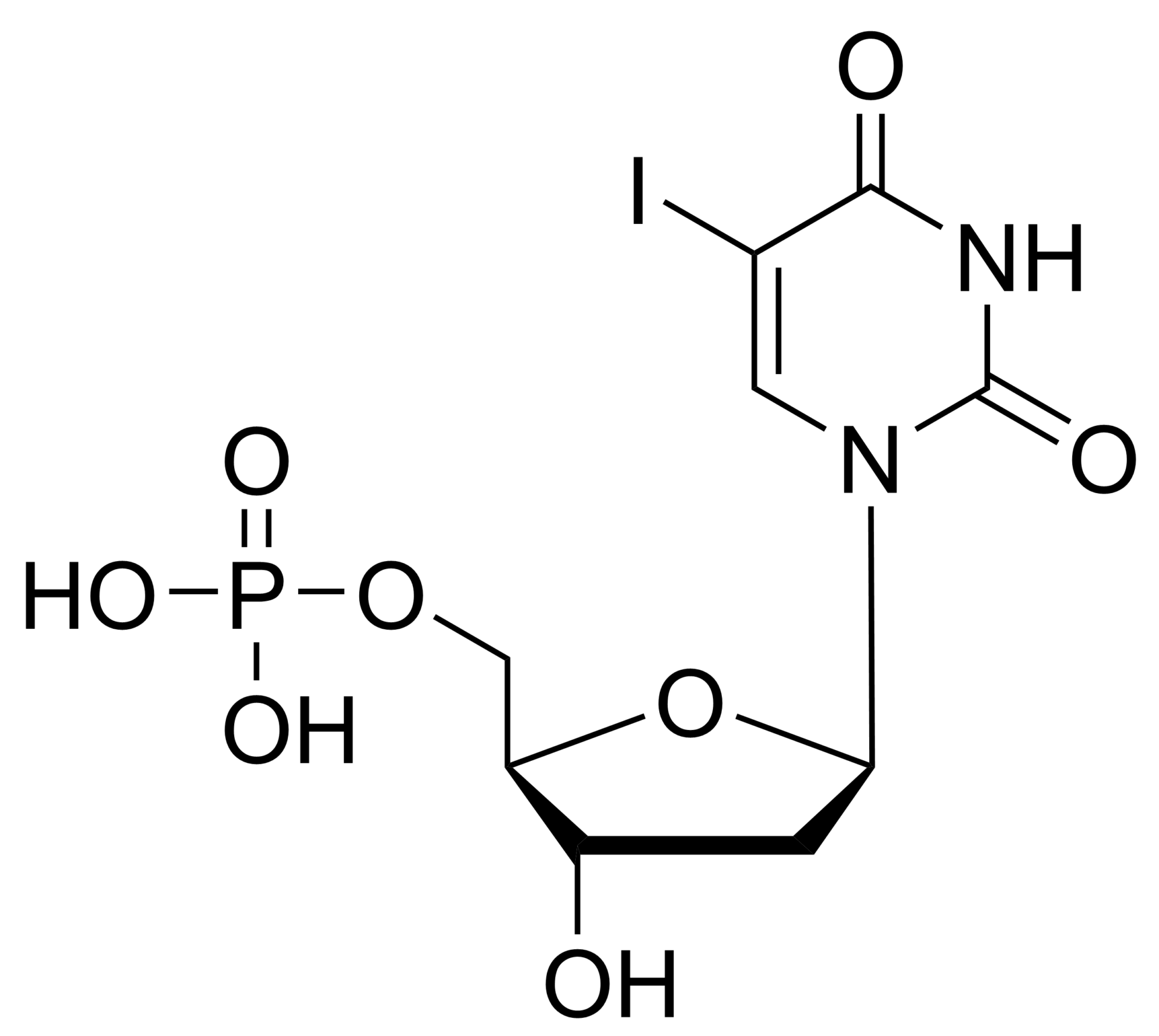 5-Iodo-2′-deoxyuridine monophosphate – CAS 1763-02-6