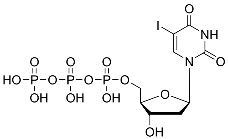 Main product photo - 5-Iodo-2′-deoxyuridine triphosphate – CAS 3731-55-3