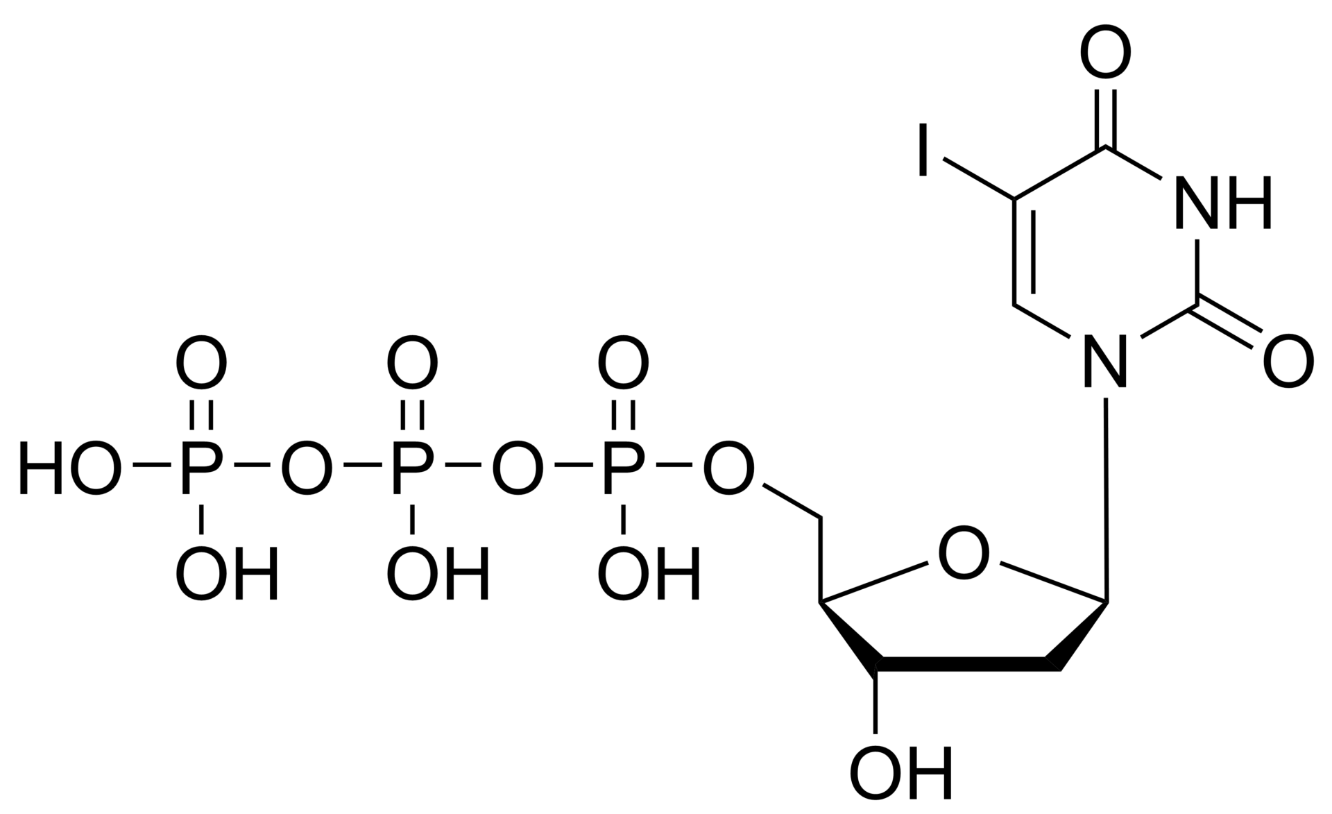 5-Iodo-2′-deoxyuridine triphosphate – CAS 3731-55-3