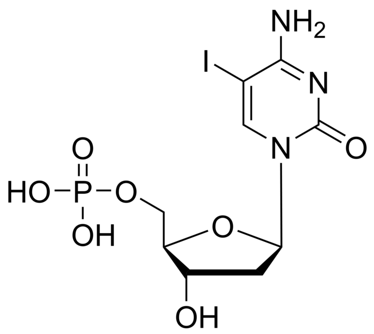 Main product photo - 5-iododeoxycytidine monophosphate – CAS 2498-43-3