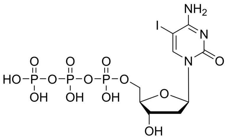 Main product photo - 5-iododeoxycytidine triphosphate – CAS 31747-59-8