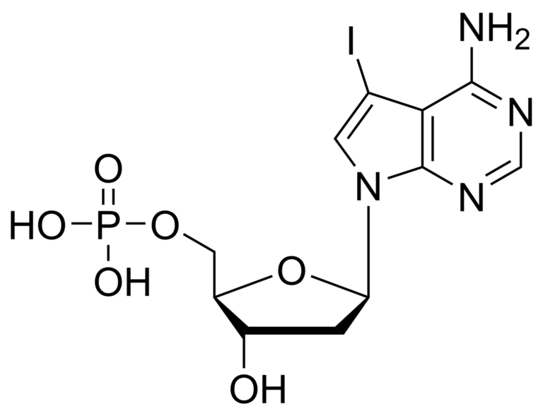 Main product photo - 7-iodo-7-deaza-2′-deoxyadenosine monophosphate – CAS 1190922-14-5