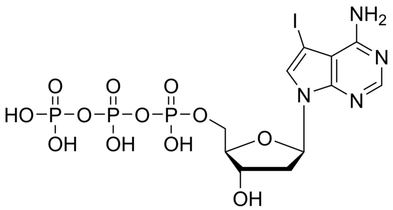 Main product photo - 7-iodo-7-deaza-2′-deoxyadenosine triphosphate – CAS 214833-26-8