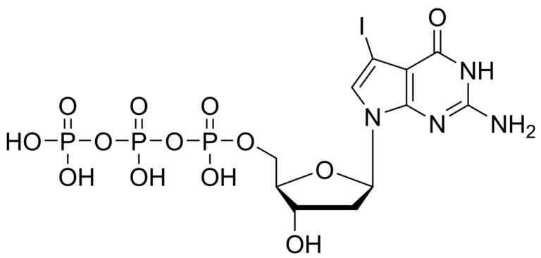 Main product photo - 7-iodo-7-deaza-2′-deoxyguanosine triphosphate – CAS 244109-12-4