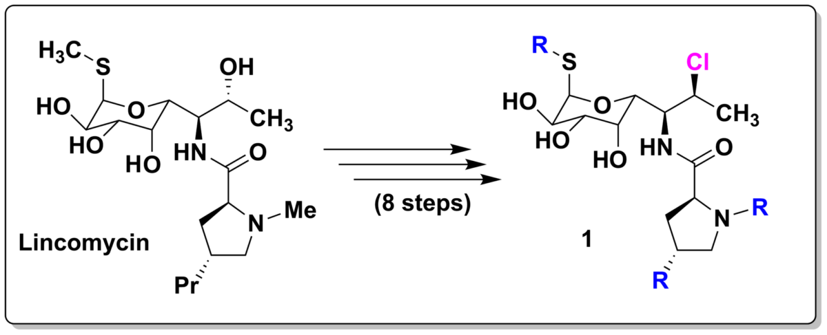 SigutLabs_Figure 1: Total synthesis of clindamycin derivative 1 starting from lincomycin