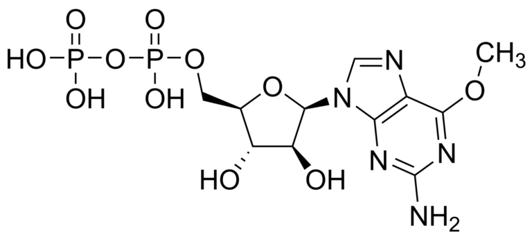 Main product photo - Nelarabine diphosphate – CAS 1313865-92-7