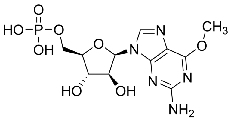 Main product photo - Nelarabine monophosphate – CAS 1313865-91-6