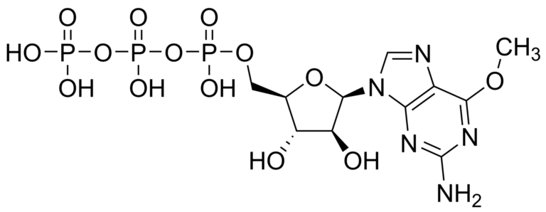 Main product photo - Nelarabine triphosphate – CAS 847649-96-1