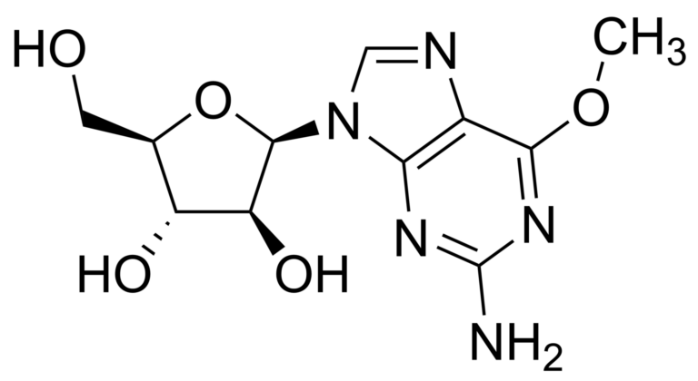 Main product photo - Nelarabine – CAS 121032-29-9