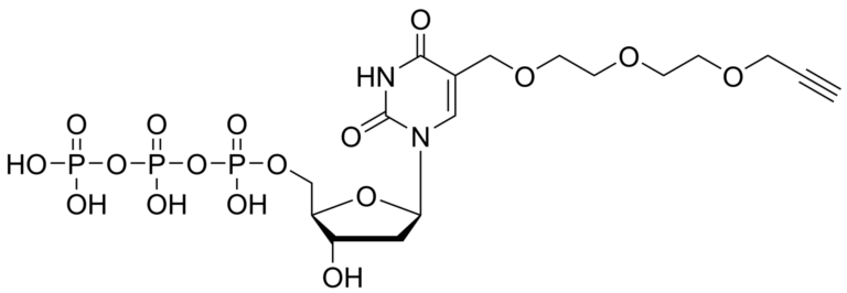 Main product photo - PEG-alkyne-dUTP – CAS 2229952-05-8