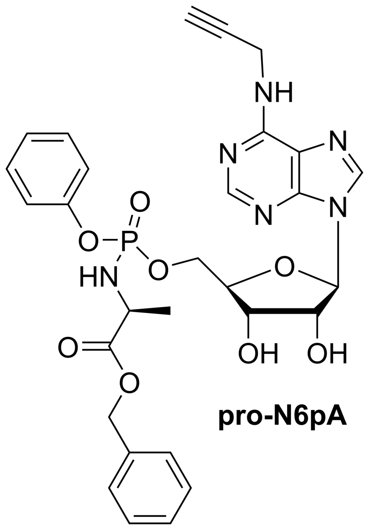 SigutLabs_Figure 1_Structure of pro-N6pA synthesized at SigutLabs