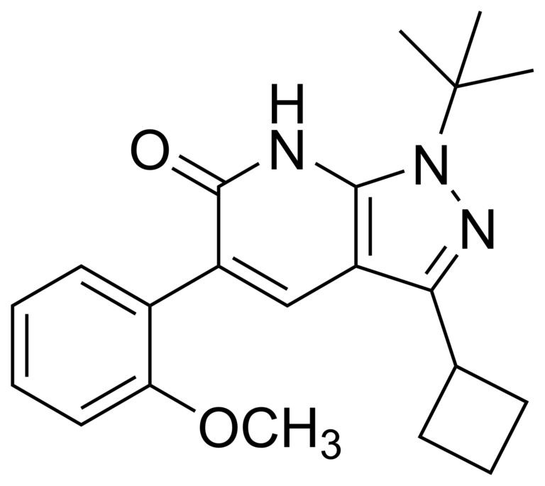 Main product photo - 1-(tert-butyl)-3-cyclobutyl-5-(2-methoxyphenyl)-1,7-dihydro-6H-pyrazolo[3,4-b]pyridin-6-one