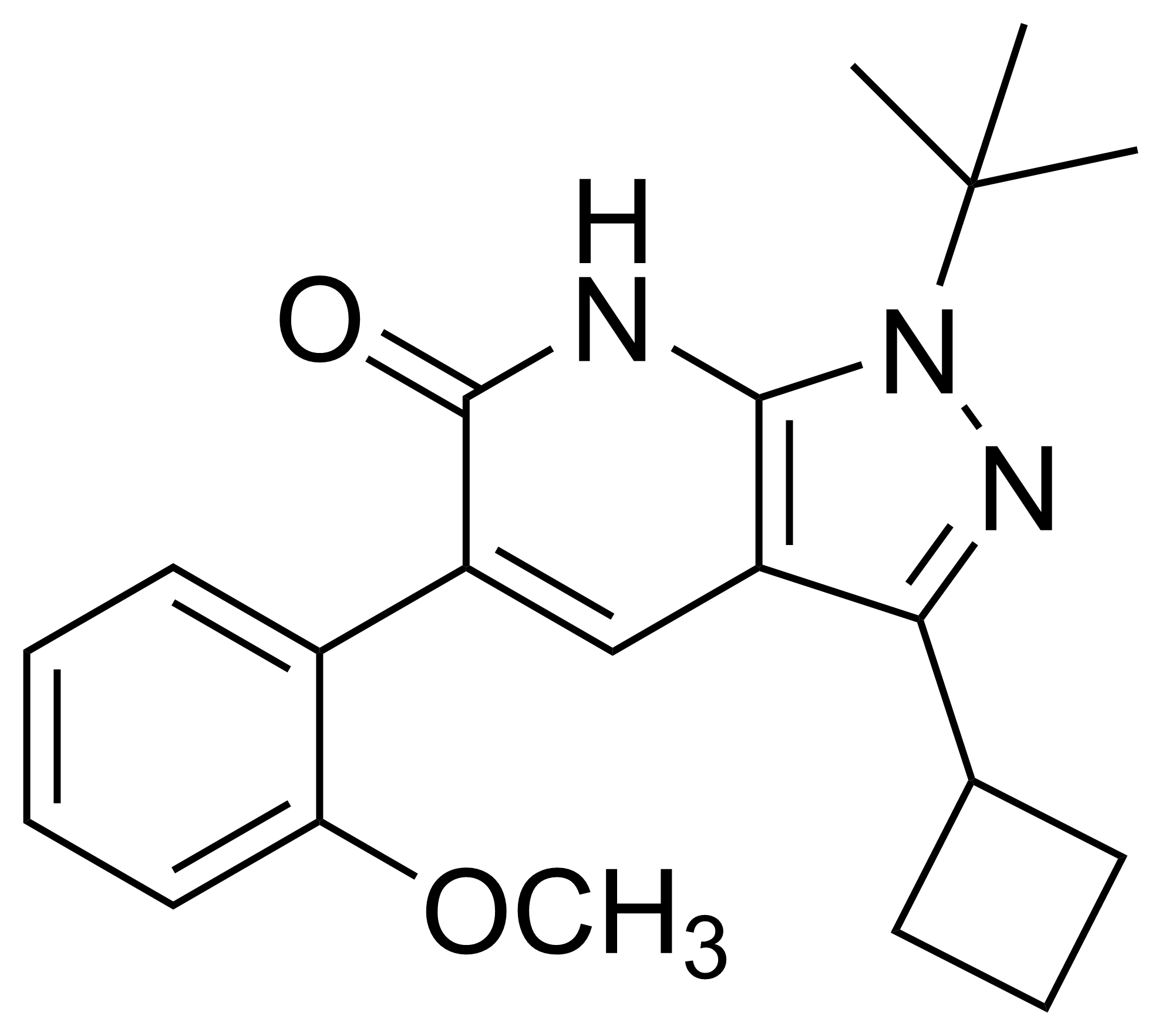 1-(tert-butyl)-3-cyclobutyl-5-(2-methoxyphenyl)-1,7-dihydro-6H-pyrazolo[3,4-b]pyridin-6-one