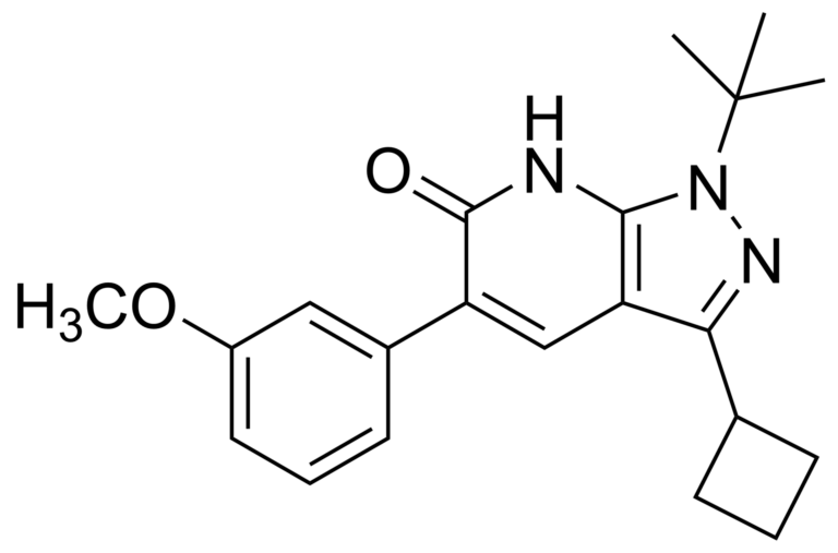 Main product photo - 1-(tert-butyl)-3-cyclobutyl-5-(3-methoxyphenyl)-1,7-dihydro-6H-pyrazolo[3,4-b]pyridin-6-one