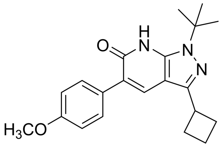 Main product photo - 1-(tert-butyl)-3-cyclobutyl-5-(4-methoxyphenyl)-1,7-dihydro-6H-pyrazolo[3,4-b]pyridin-6-one