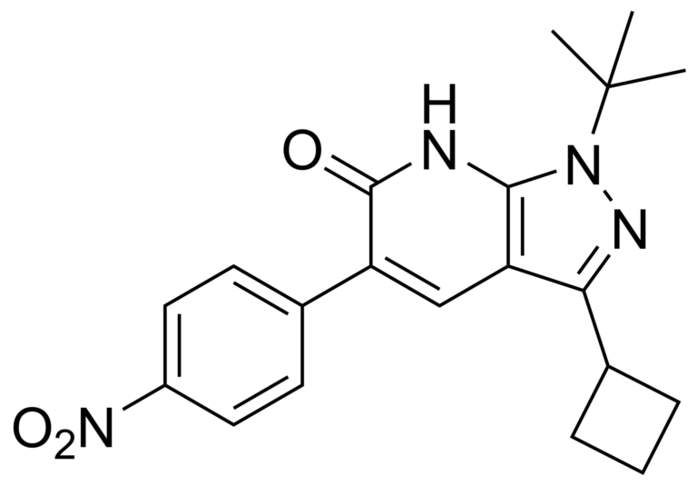 Main product photo - 1-(tert-butyl)-3-cyclobutyl-5-(4-nitrophenyl)-1,7-dihydro-6H-pyrazolo[3,4-b]pyridin-6-one