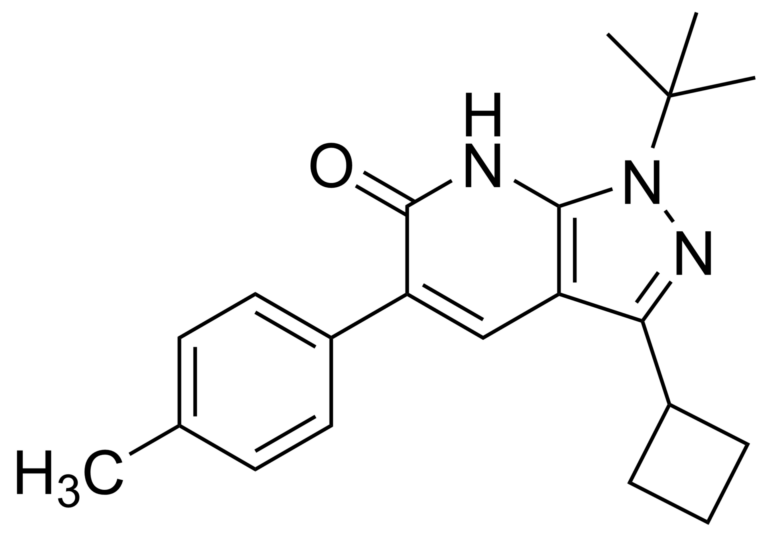 Main product photo - 1-(tert-butyl)-3-cyclobutyl-5-(p-tolyl)-1,7-dihydro-6H-pyrazolo[3,4-b]pyridin-6-one