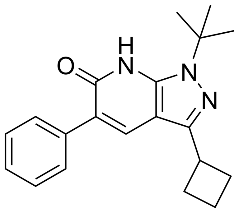 Main product photo - 1-(tert-butyl)-3-cyclobutyl-5-phenyl-1,7-dihydro-6H-pyrazolo[3,4-b]pyridin-6-one – CAS 820233-52-1